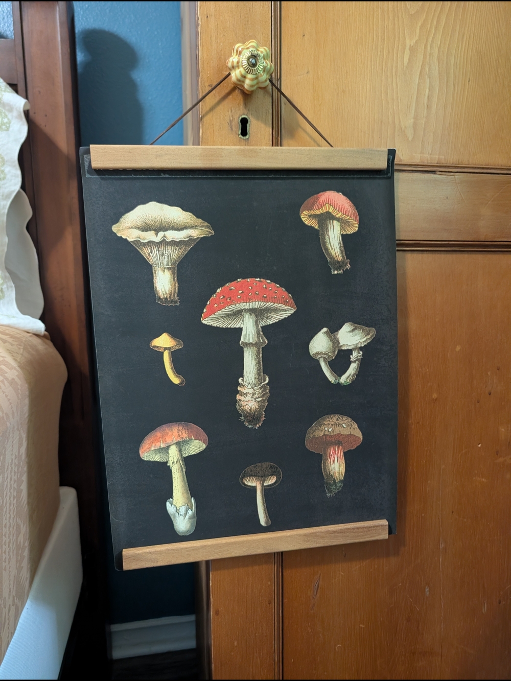 Botanical Mushroom Wall Art Poster - Black and Red